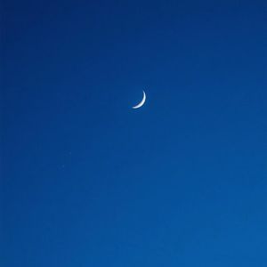 jZZ20欧美性爱公交车的高潮
